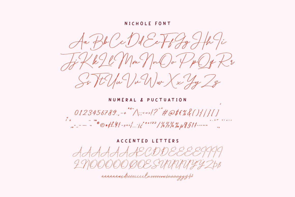 Nichole – Romantic Handwritten Script — image 7