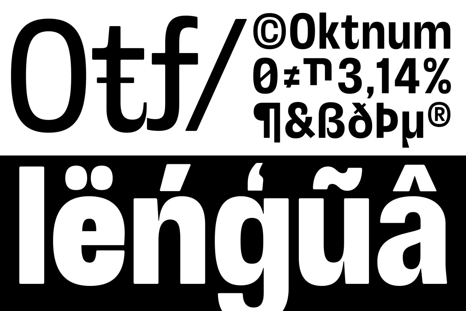 Otflag Sans Variable — image 6