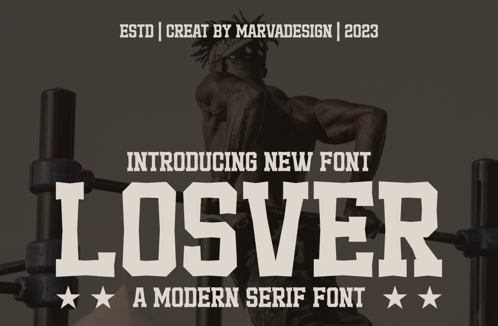 Losver — image 1