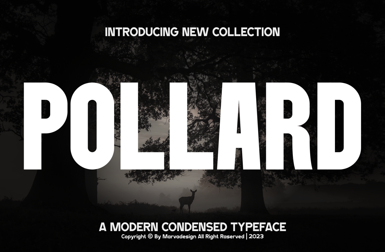Pollard — image 1