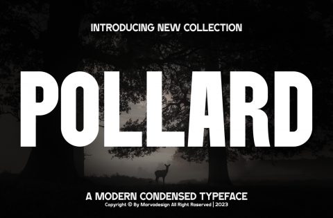 Pollard