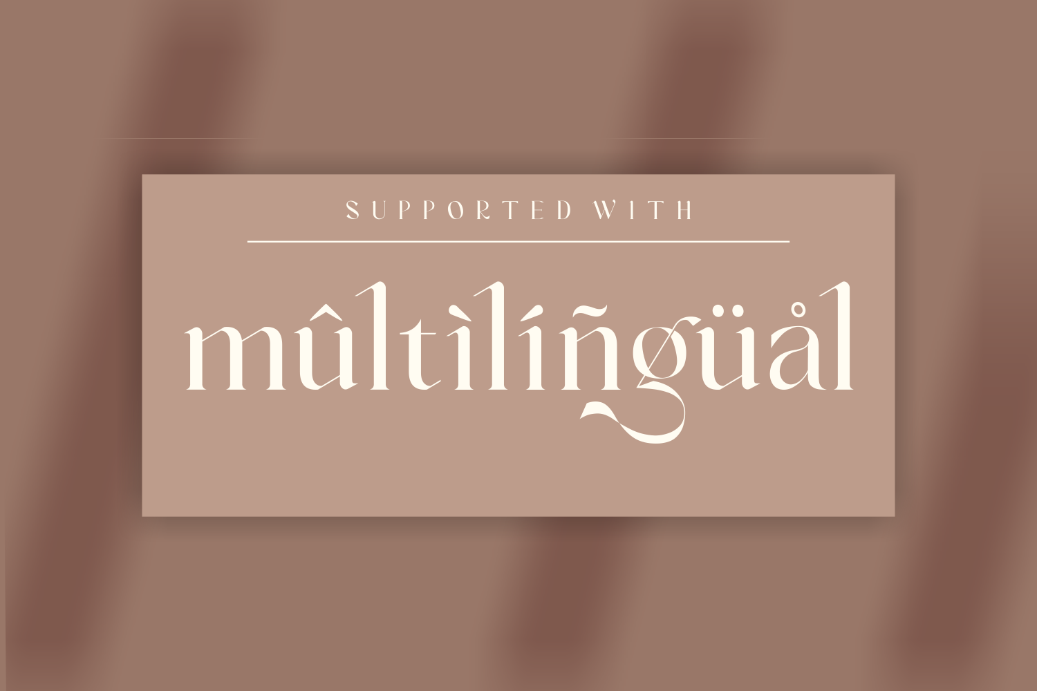 Vanger _ modern serif font — image 10