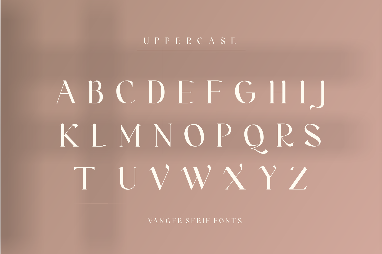 Vanger _ modern serif font — image 6