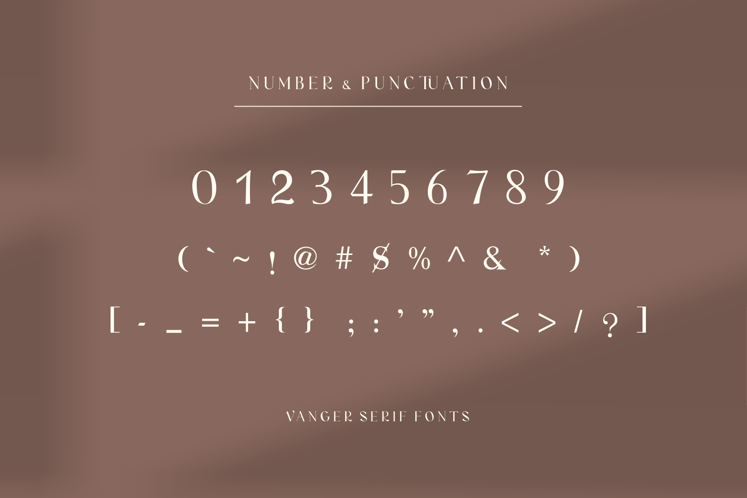 Vanger _ modern serif font — image 8