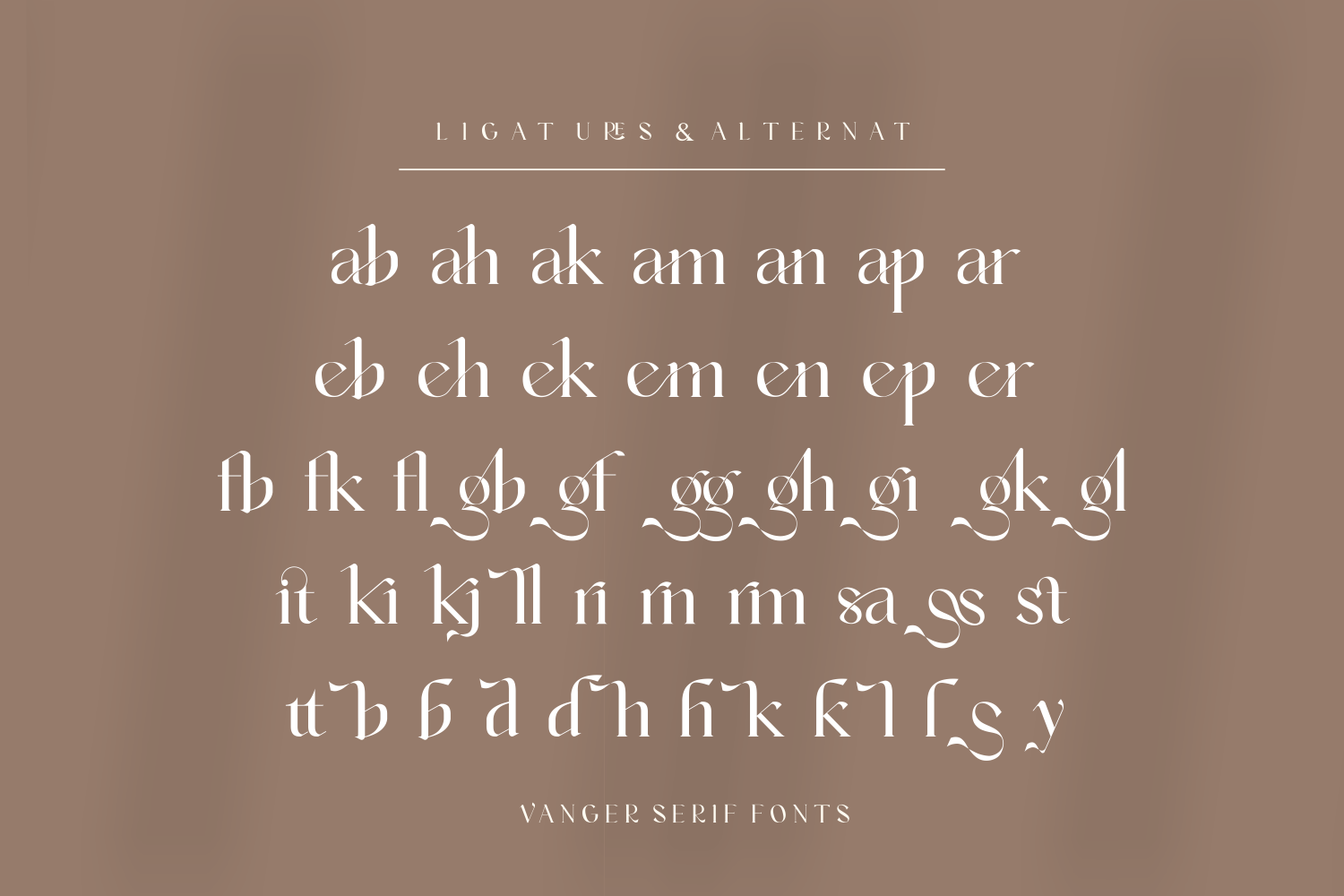 Vanger _ modern serif font — image 9