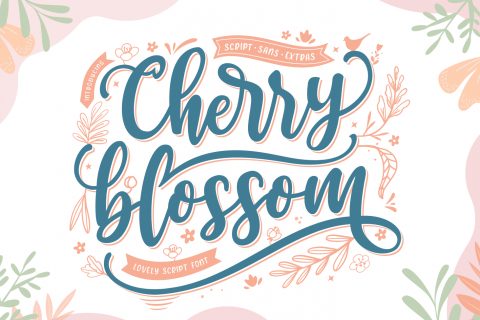 Cherry Blossom