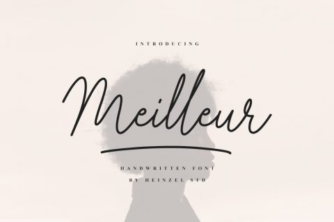 Meilleur