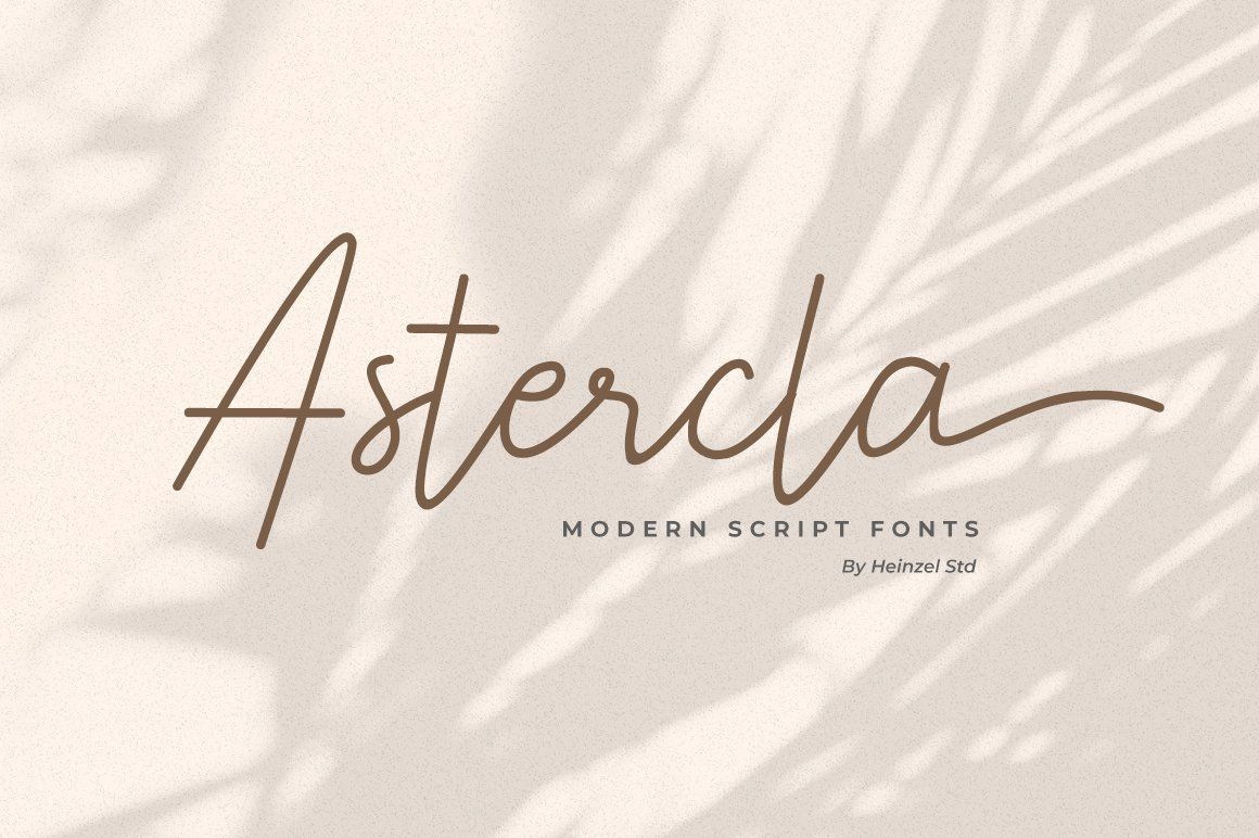 Astercla — image 1