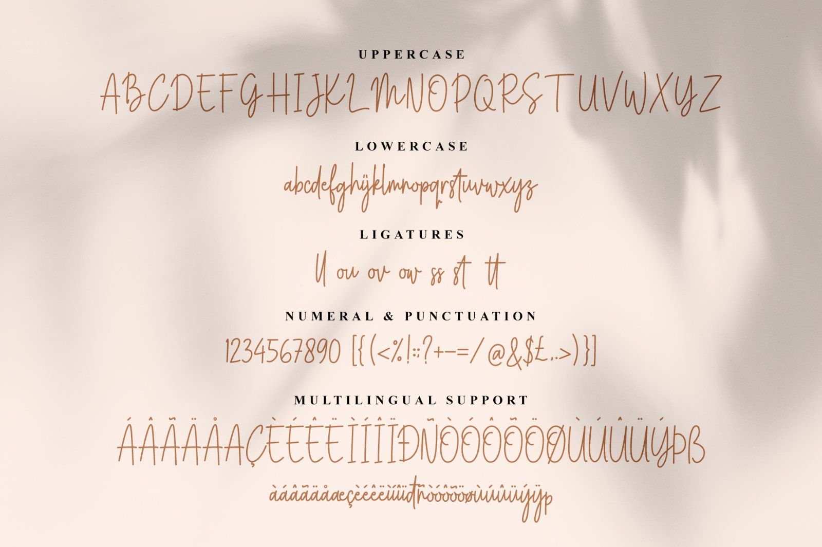 Youth Syndicate — image 7