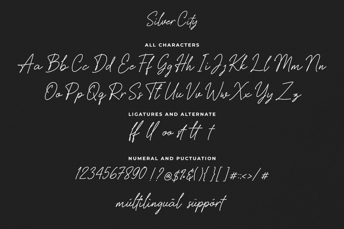 Silver City — image 7