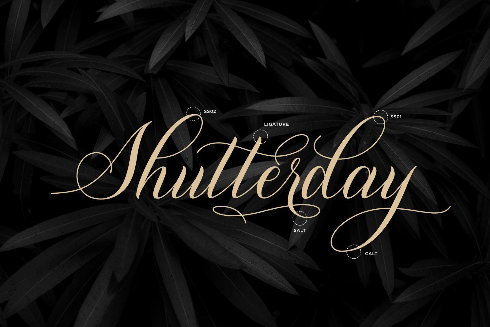 Shutterday — image 8