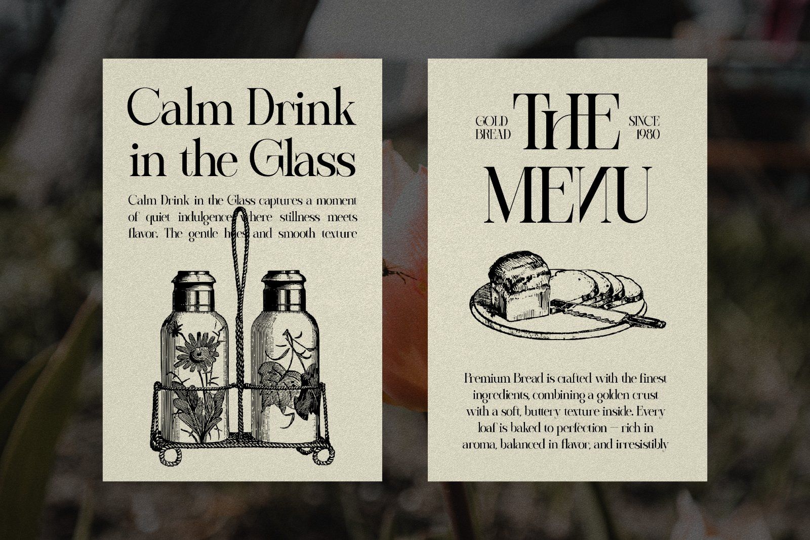 Sherlock Serif Family (126 Fonts) — image 2