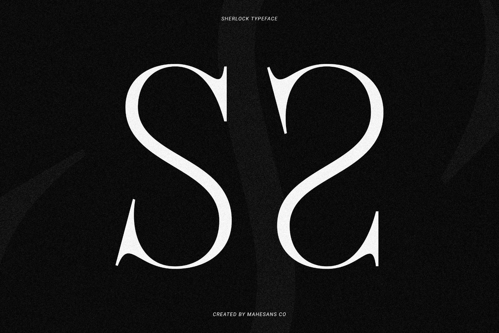 Sherlock Serif Family (126 Fonts) — image 22