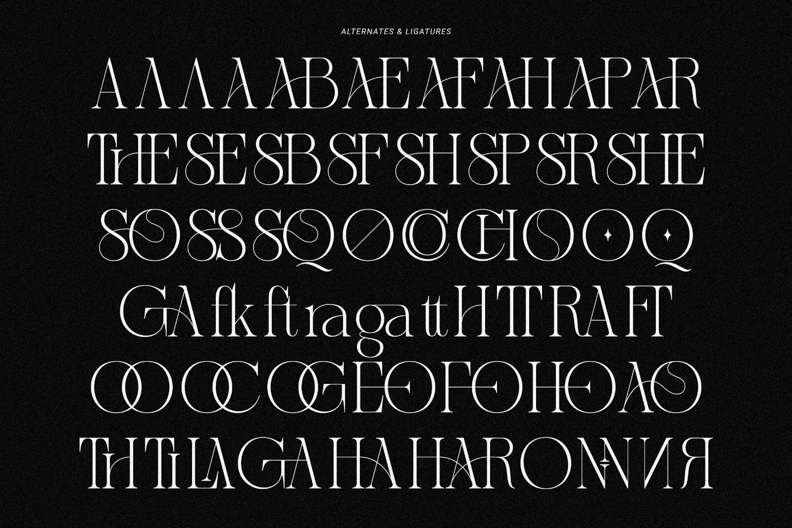 Sherlock Serif Family (126 Fonts) — image 24