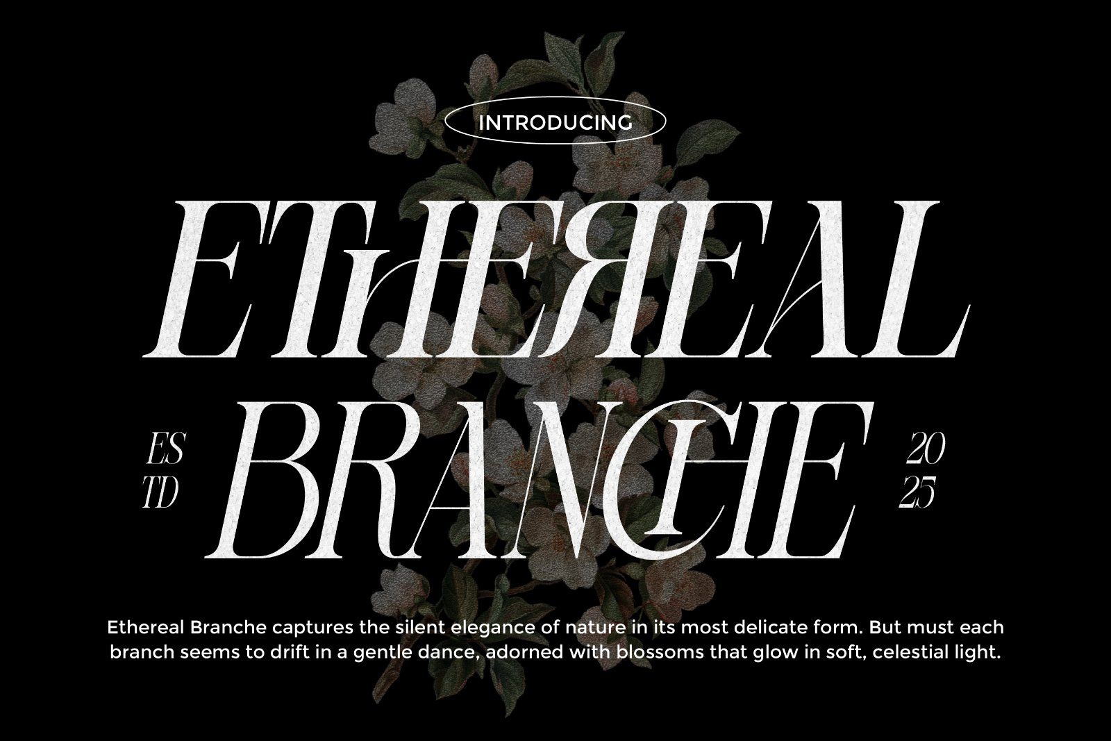 Sherlock Serif Family (126 Fonts) — image 3