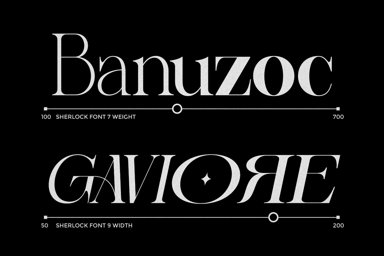Sherlock Serif Family (126 Fonts) — image 9