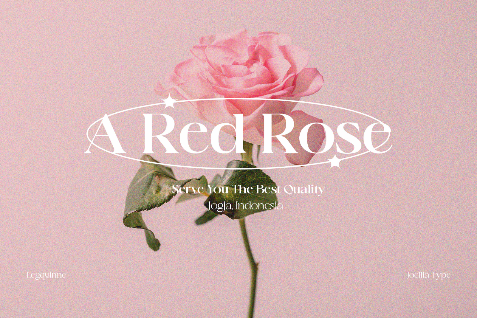 Legquinne | Aesthetic Font — image 3