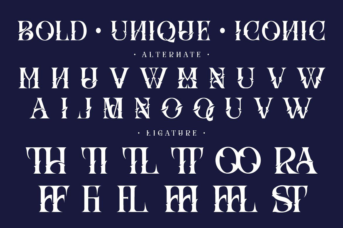 Hizba – Luxury Ornamental Serif Font — image 9