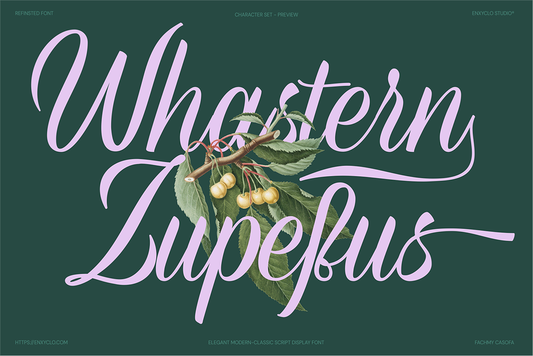 Refinsted — Elegant Script Calligraphy Font — image 2