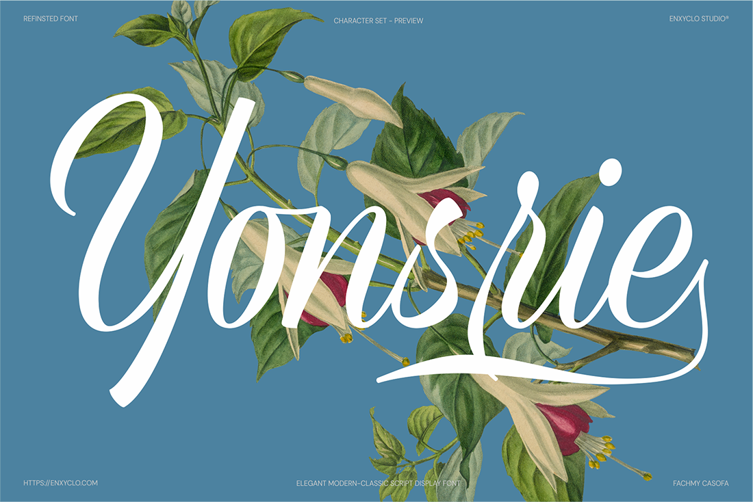 Refinsted — Elegant Script Calligraphy Font — image 6