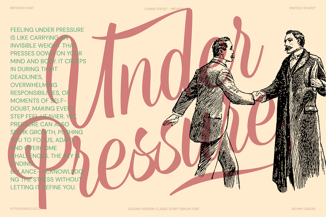 Refinsted — Elegant Script Calligraphy Font — image 8