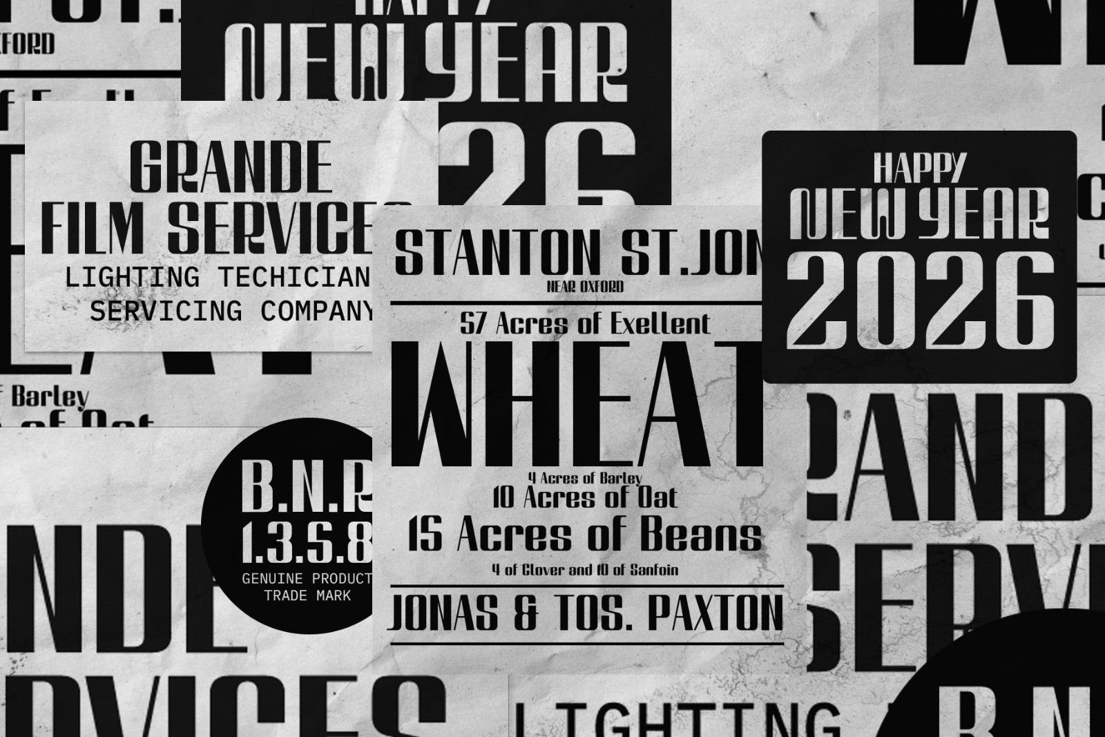 Regardion_a Contrasted gothic display font — image 7
