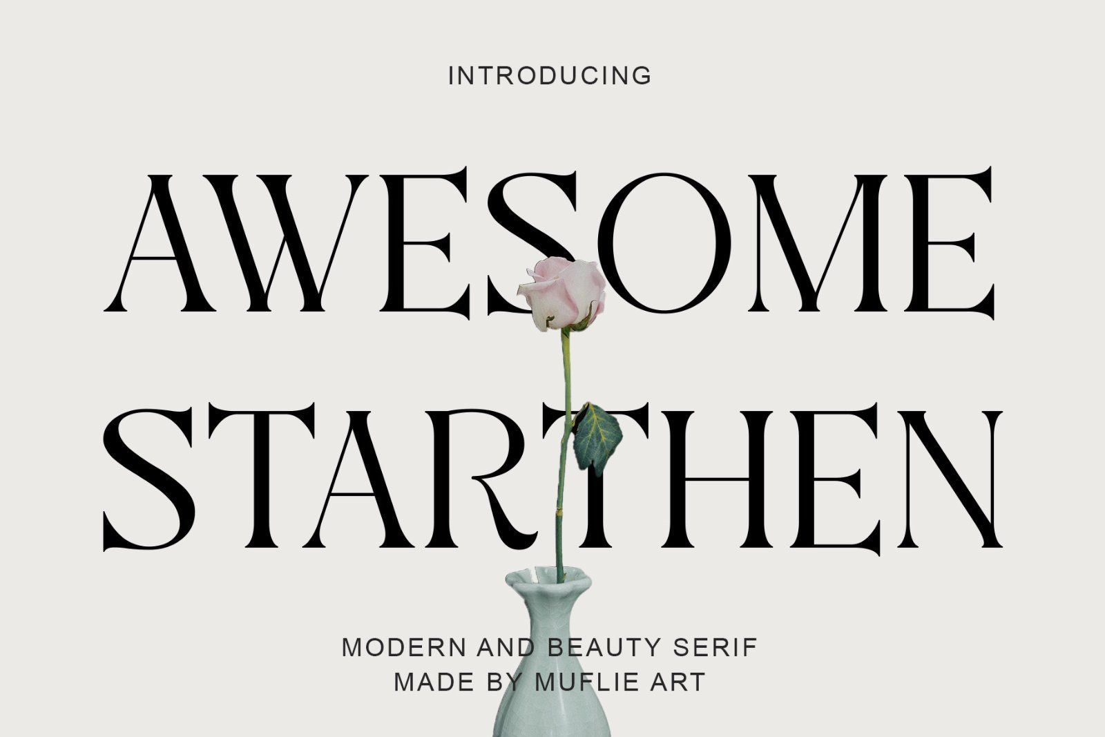 Aweshome Starthen - Modern & Beauty Serif — image 1