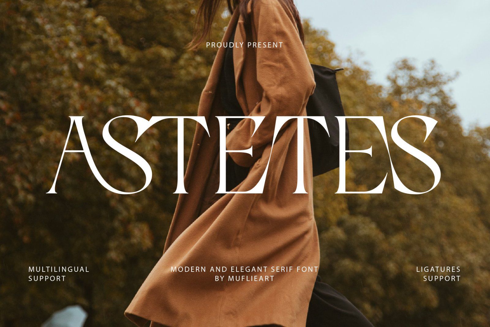 Astetes - Modren And Elegant Serif Font — image 1