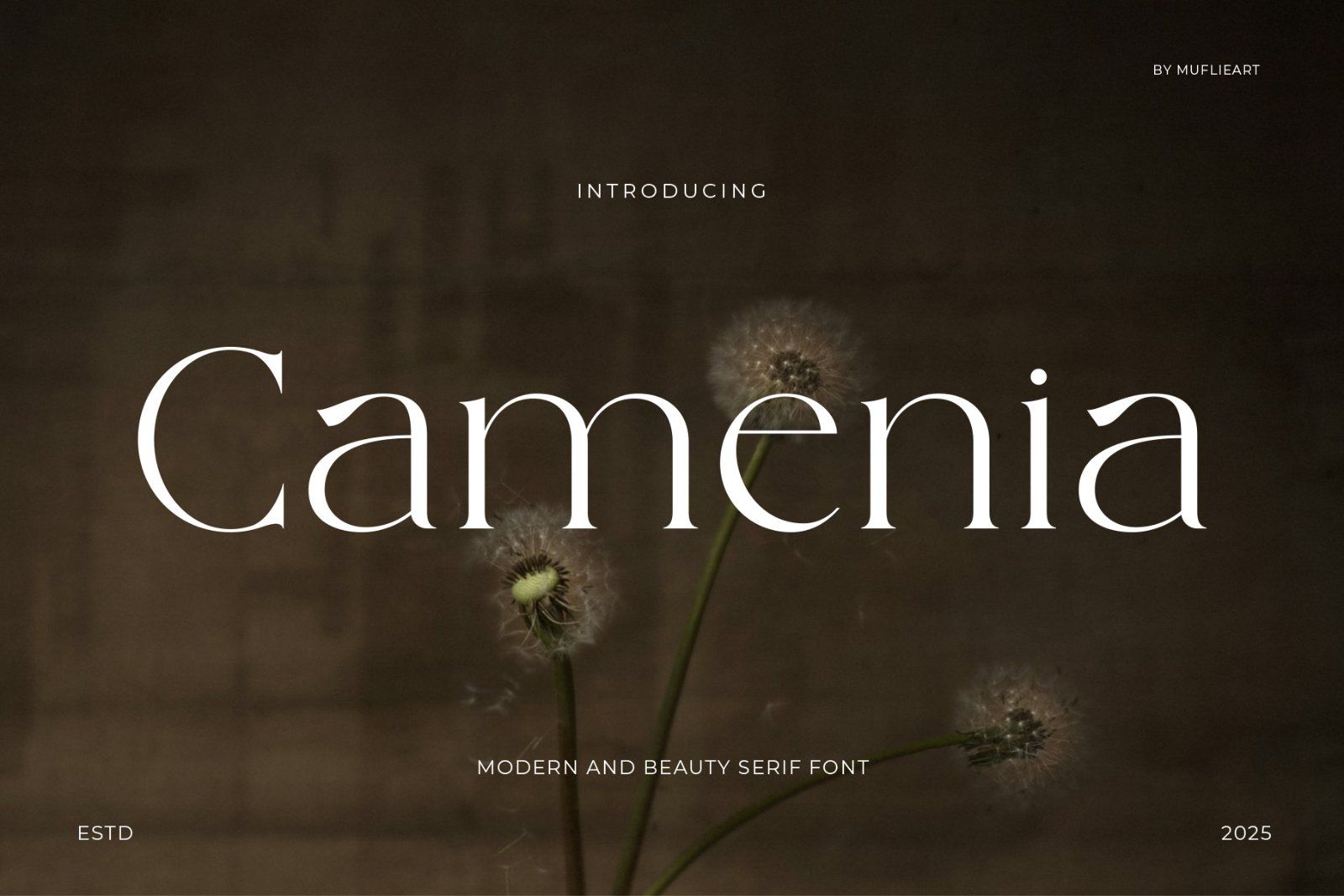 Camenia - Modern & Beauty Serif — image 1