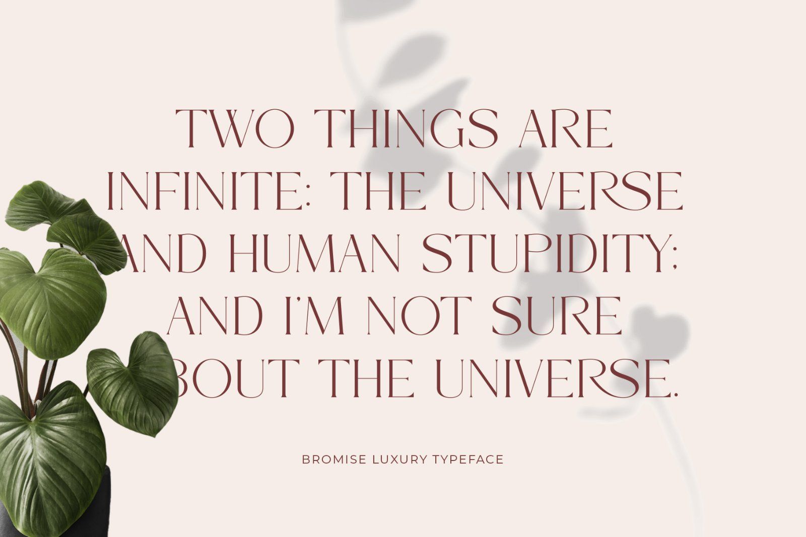 Bromise - Luxury Serif Typeface — image 2