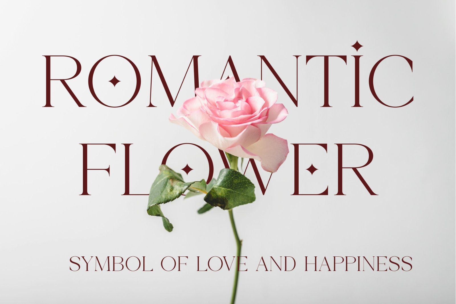 Crimle - An Elegant Serif Font — image 3