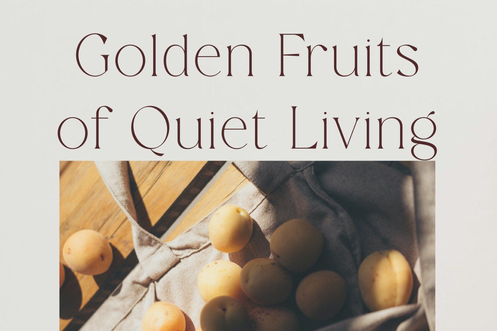 Remore | Modern And Elegant Serif — image 3