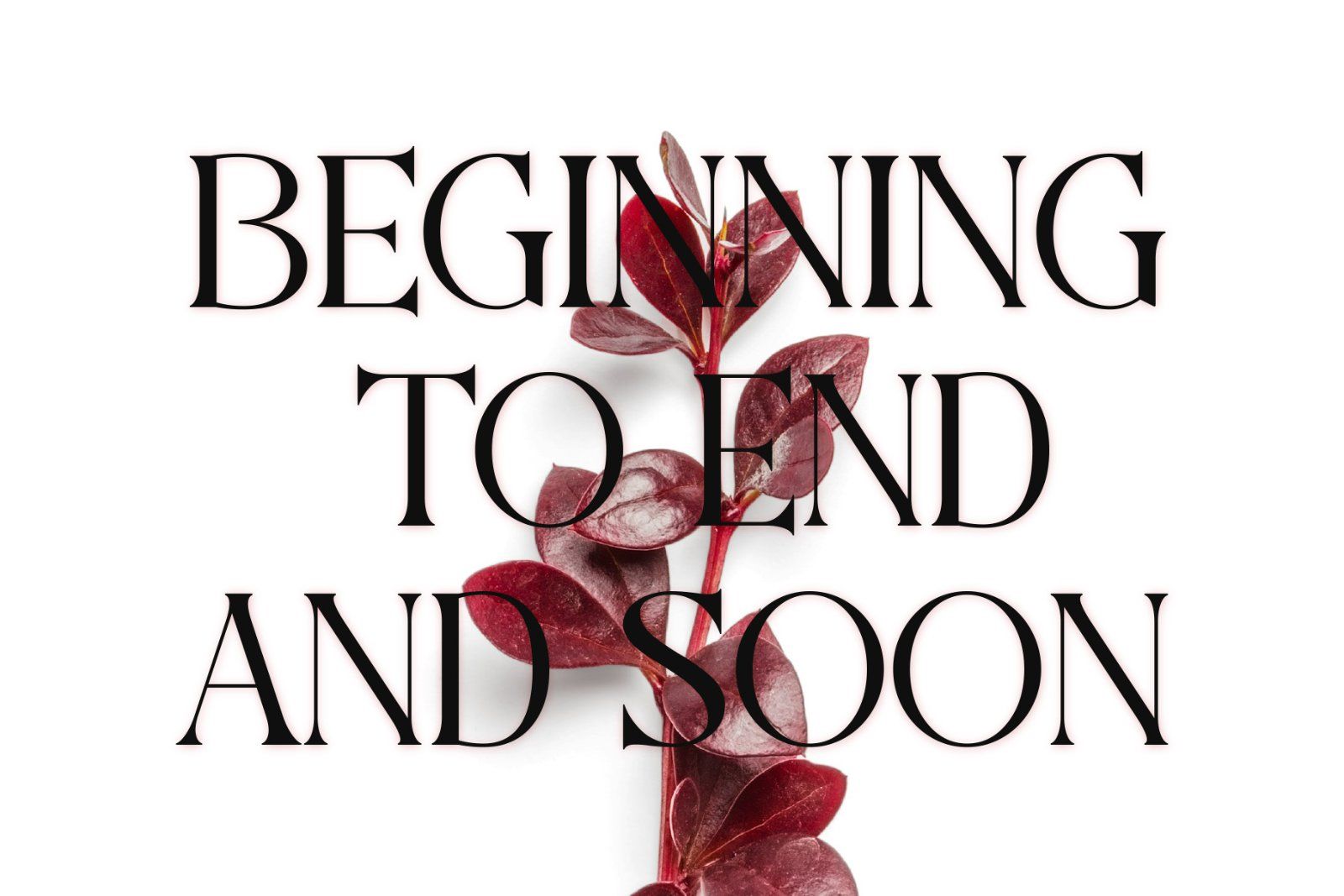 Aweshome Starthen - Modern & Beauty Serif — image 4