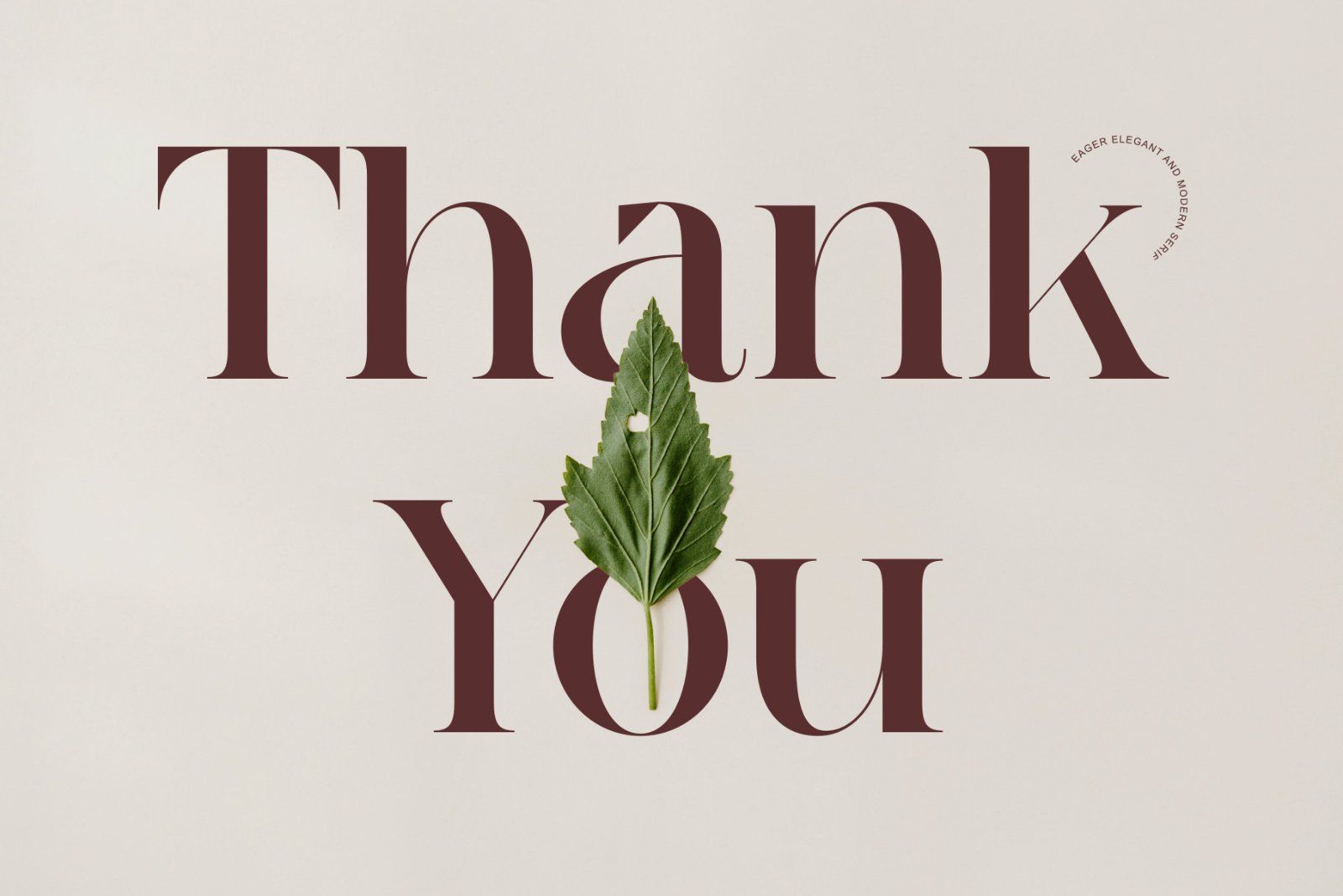 Eagers - Elegant And Modern Serif — image 8