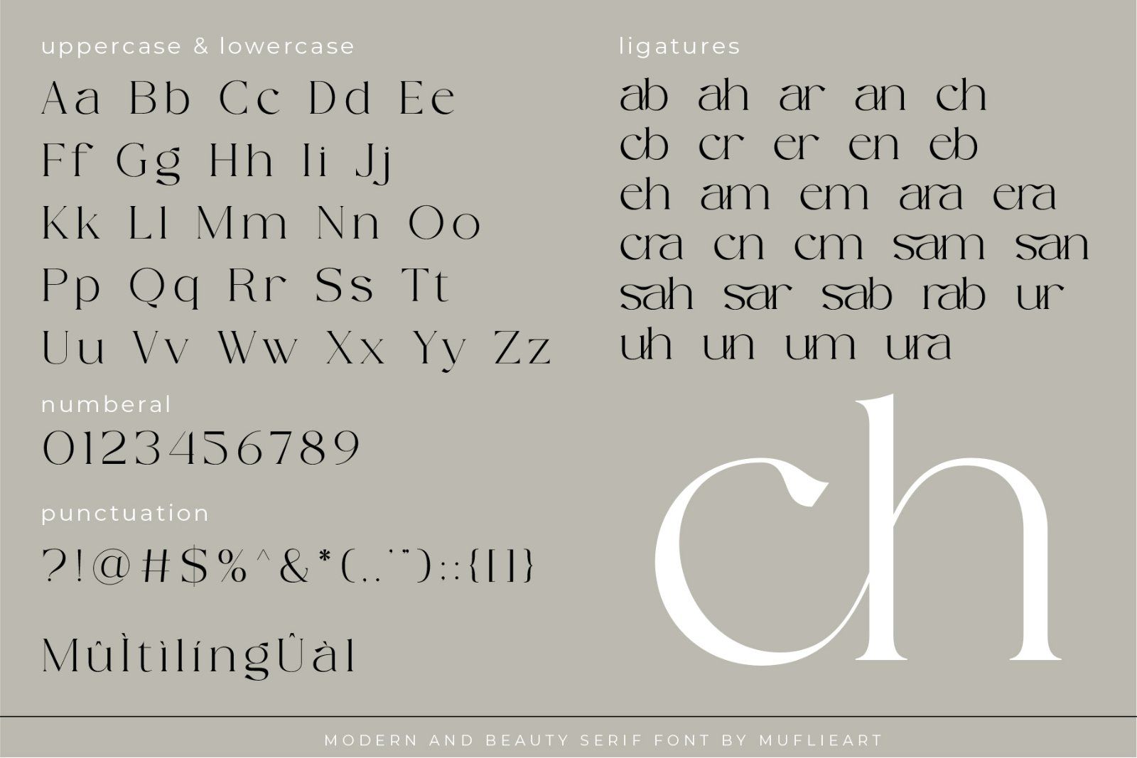 Camenia - Modern & Beauty Serif — image 8