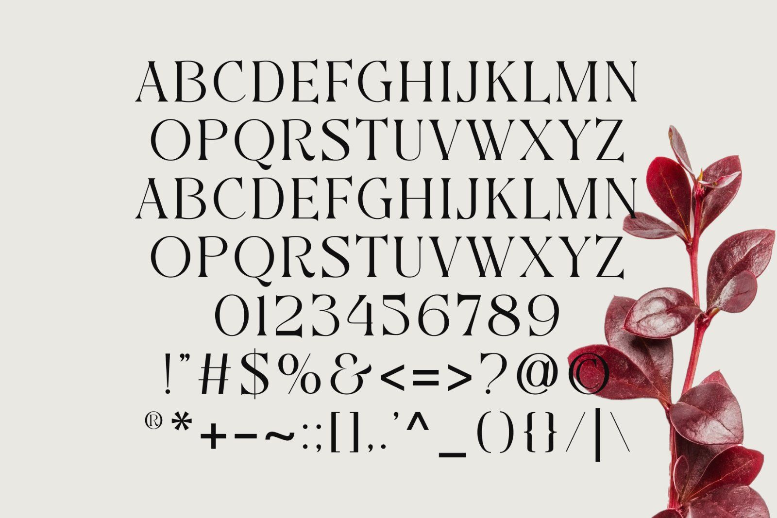 Aweshome Starthen - Modern & Beauty Serif — image 8