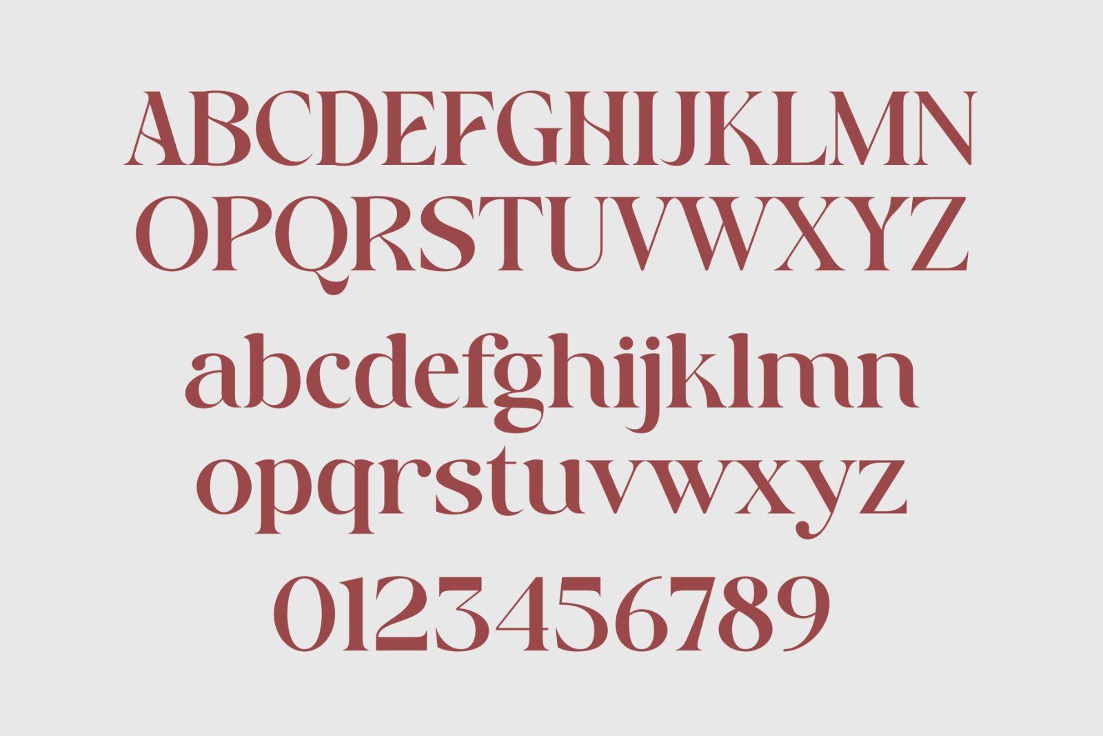 Bareya - Modern Serif Font — image 8
