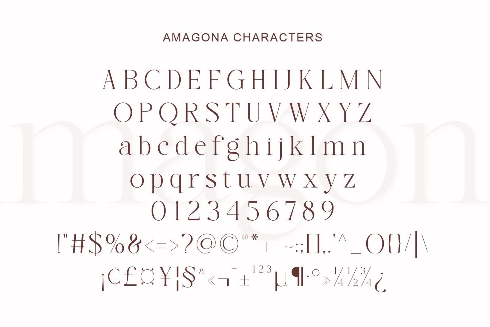 Amagona - Clean Modern Serif Font — image 8