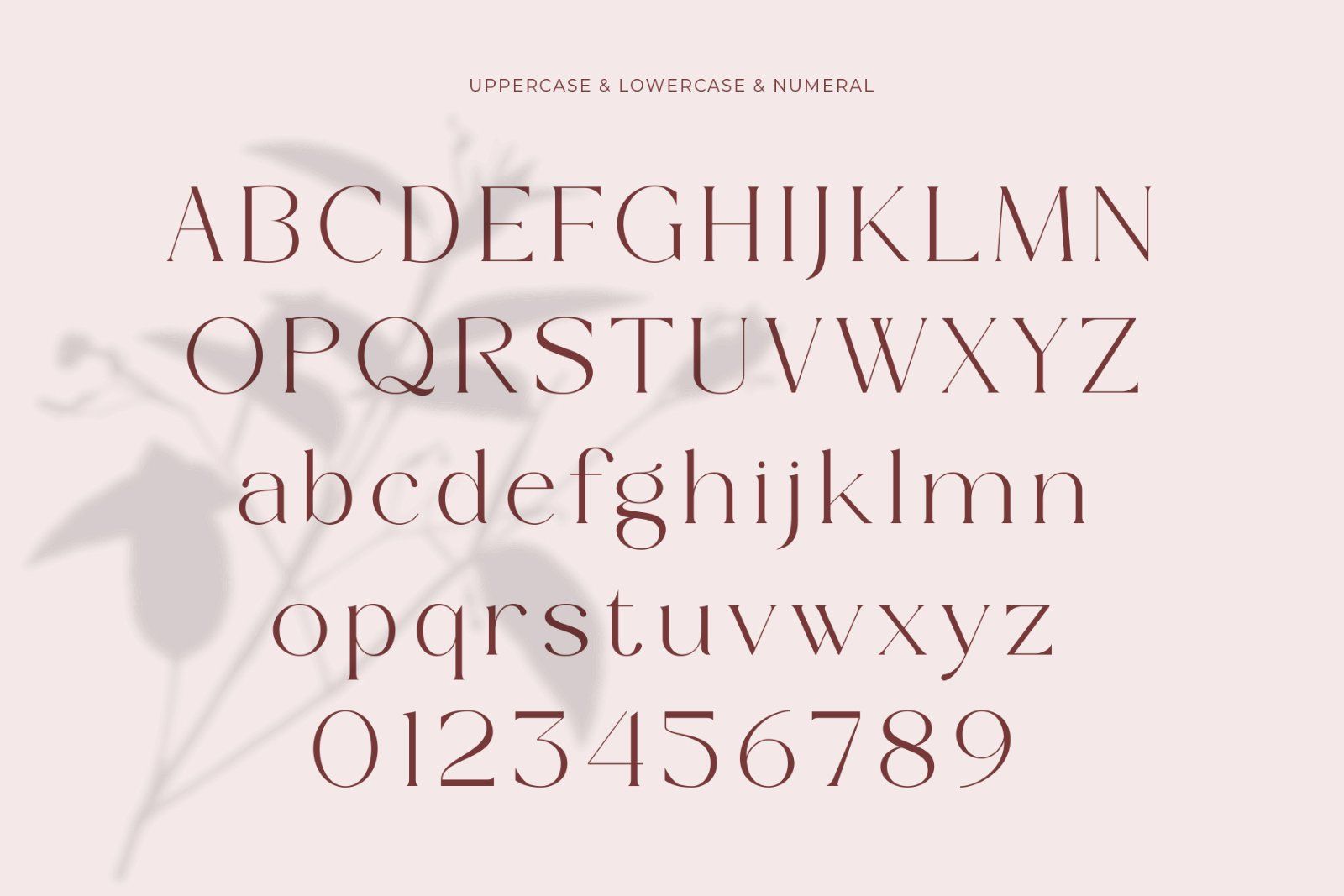 Bromise - Luxury Serif Typeface — image 9