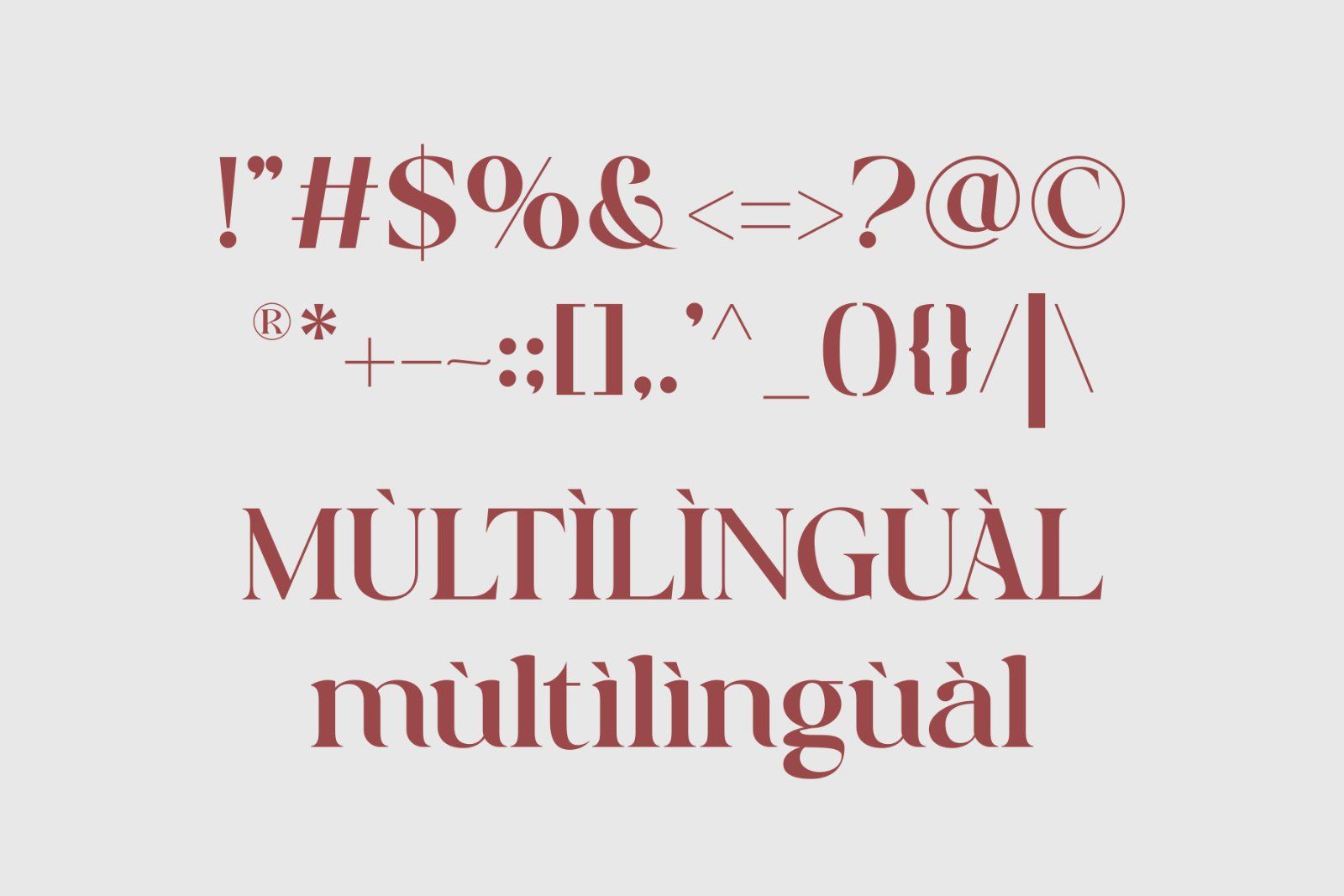 Bareya - Modern Serif Font — image 9