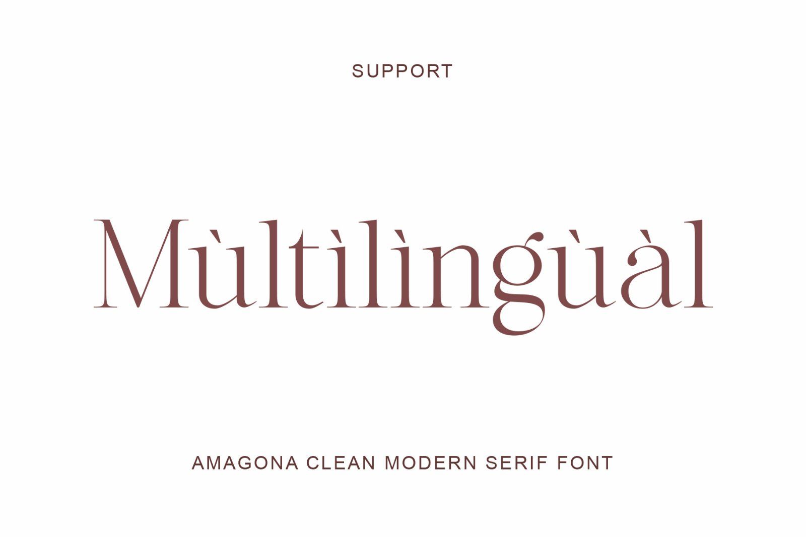 Amagona - Clean Modern Serif Font — image 9
