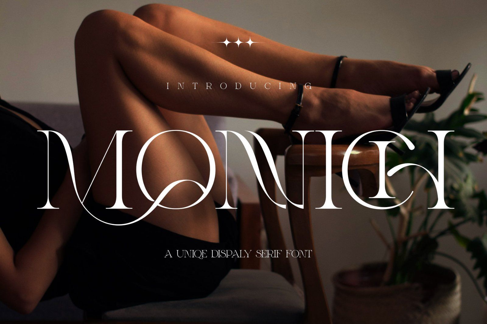 MONNIC Unique Display Serif — image 1