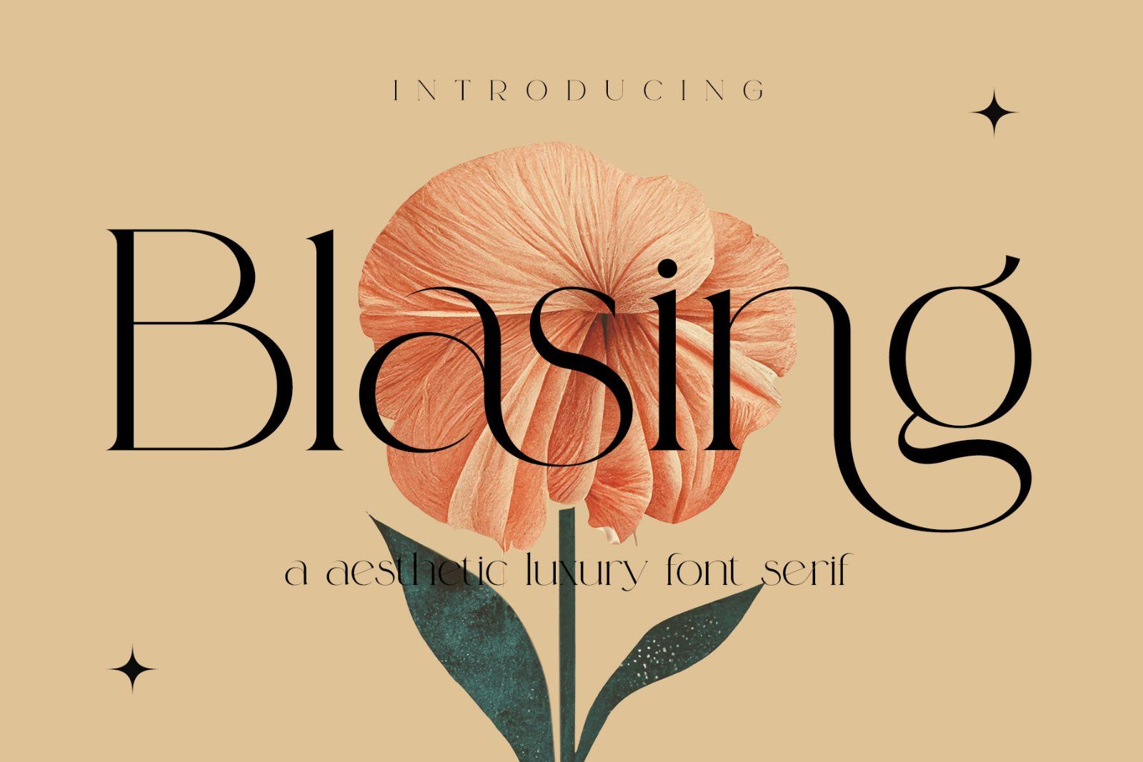 Blasing Aesthetic Serif Font — image 1