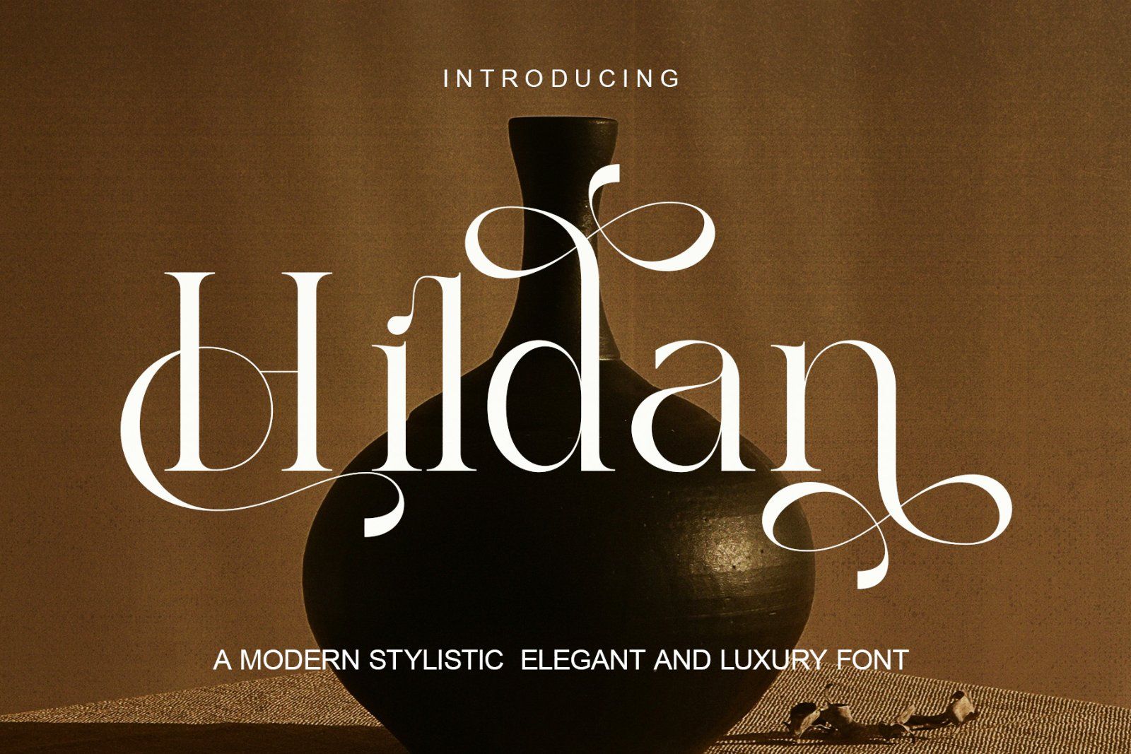 Hildan Modern Ligature Serif — image 1