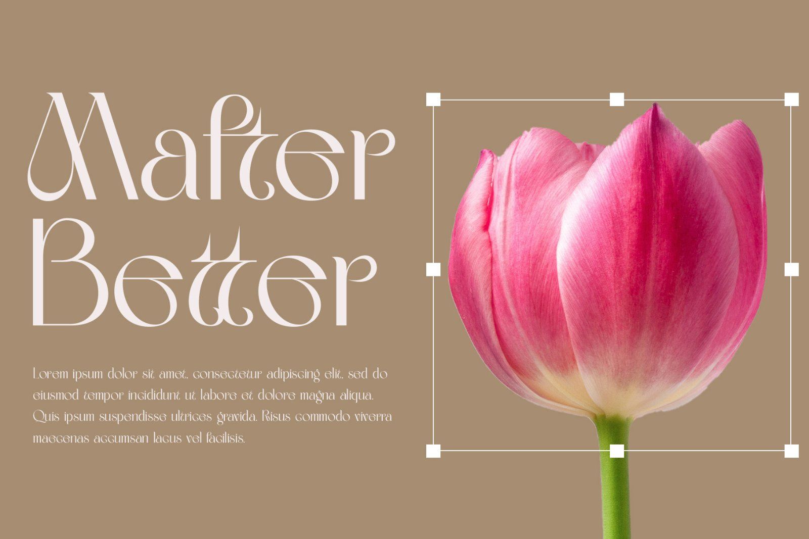 Mafter Elegant Serif Typeface — image 2