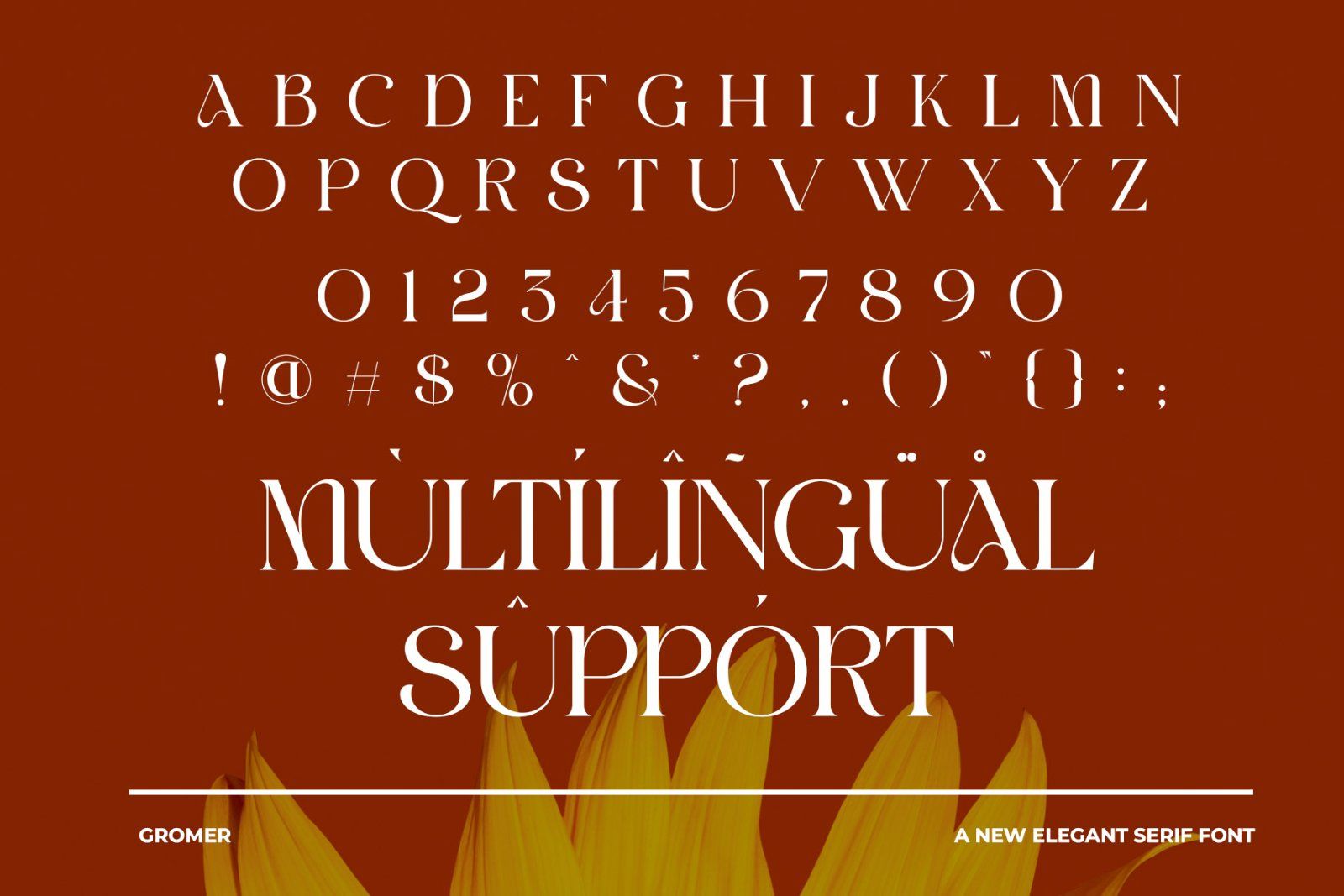 GROMER Elegant Ligature Serif — image 8