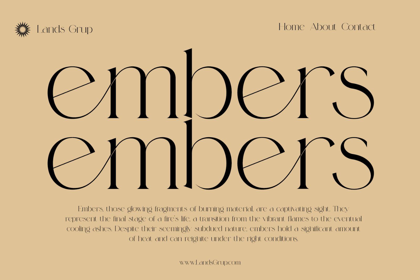 Blasing Aesthetic Serif Font — image 2