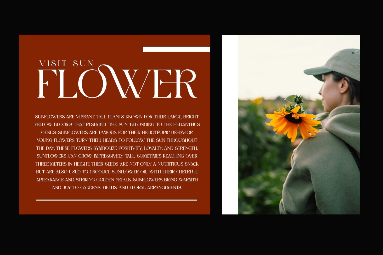 GROMER Elegant Ligature Serif — image 2