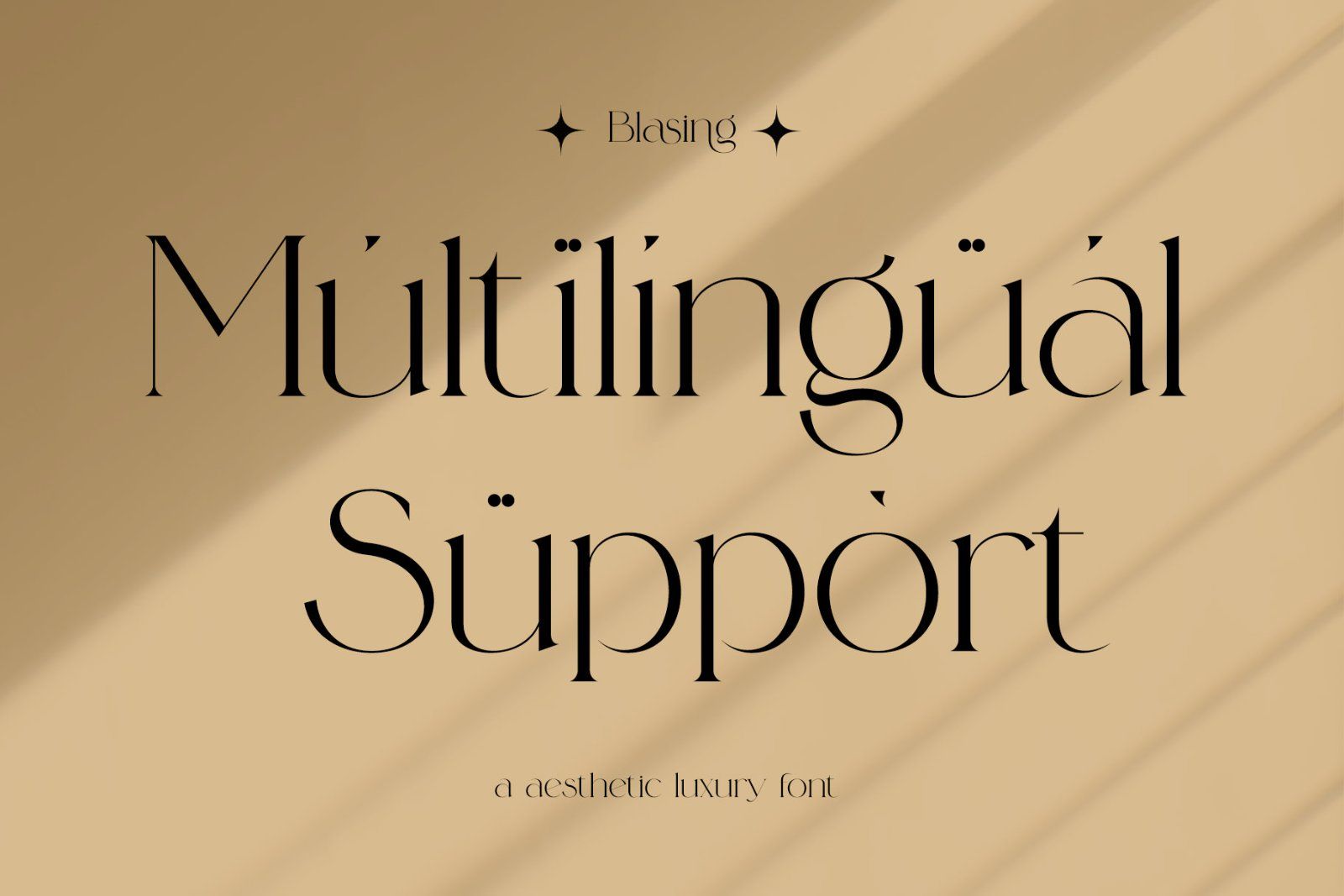Blasing Aesthetic Serif Font — image 10