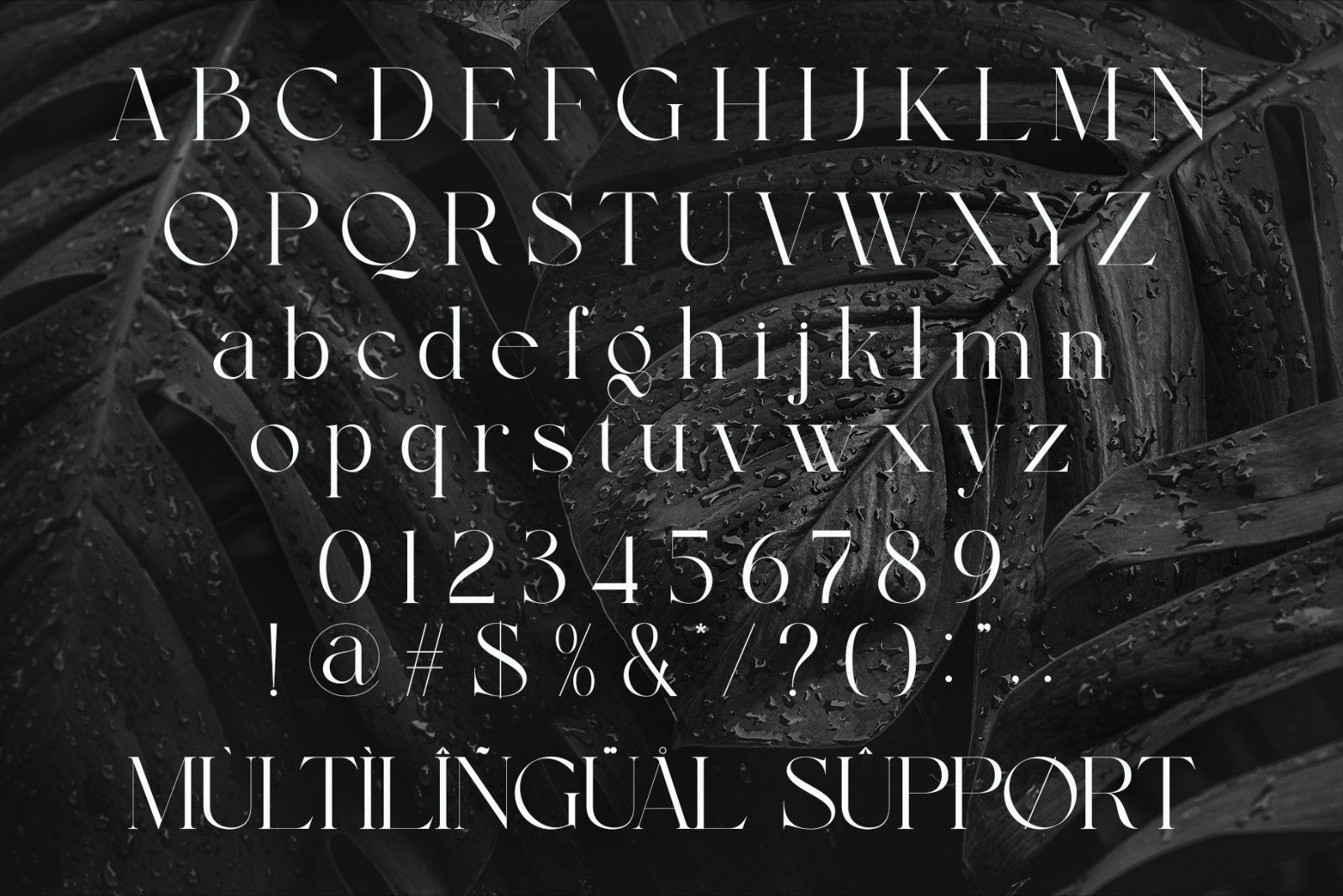 Garline Elegant Ligature Serif — image 5